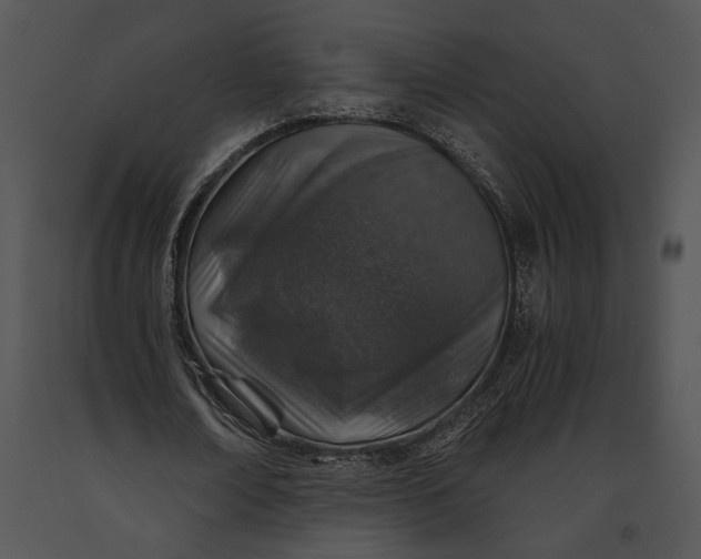 X0000091180674200708301217