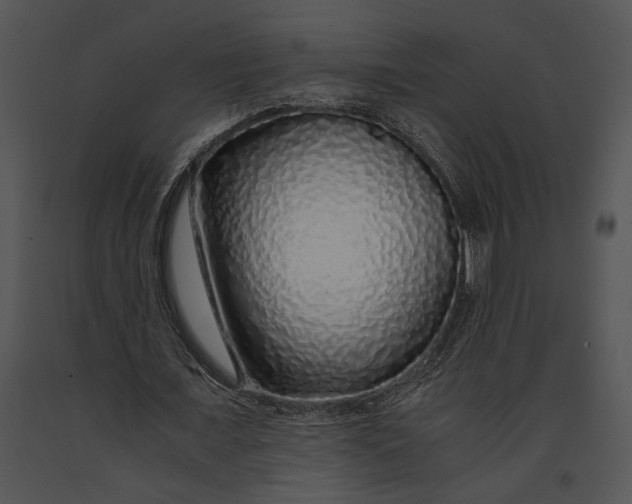 X0000091180675200708301217