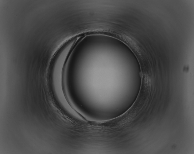 X0000091180676200708301217