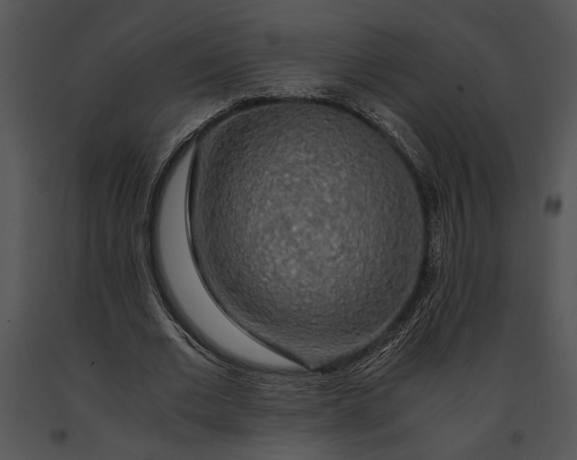 X0000091180677200708301217
