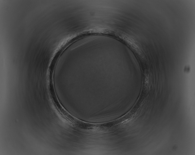 X0000091180678200708301217