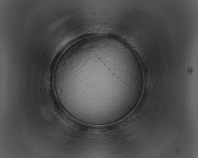 X0000091180679200708301217