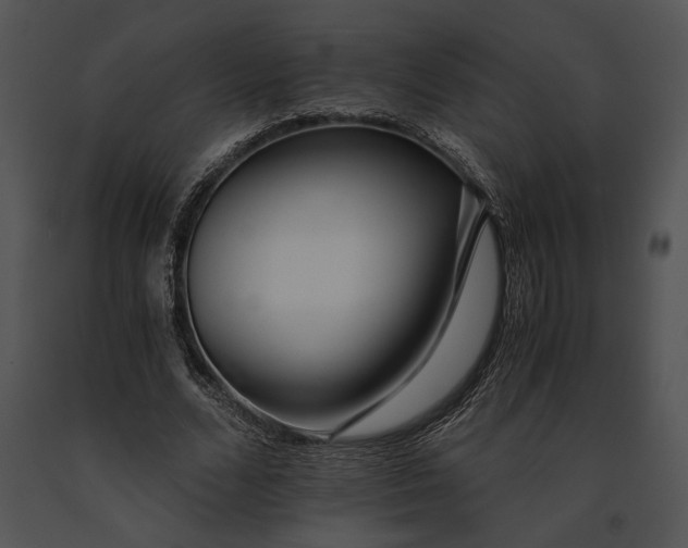 X0000091180680200708301217