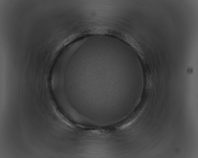 X0000091180681200708301217