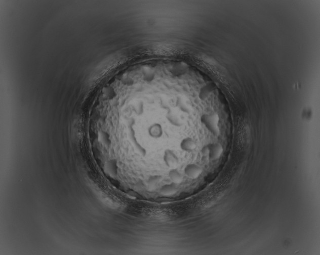 X0000091180683200708301217