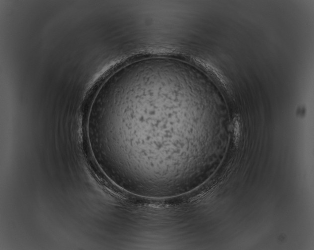 X0000091180684200708301217