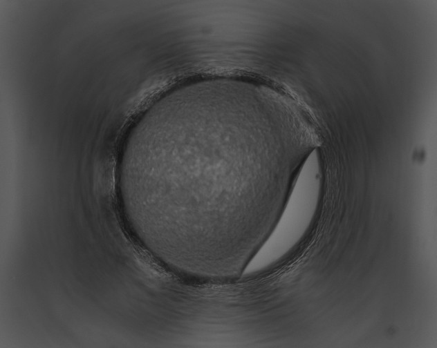 X0000091180685200708301217