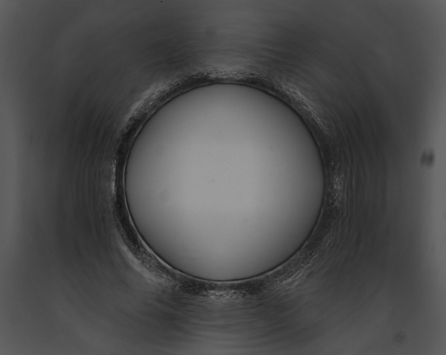 X0000091180686200708301217