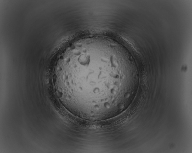 X0000091180687200708301217