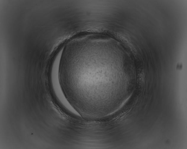 X0000091180688200708301217