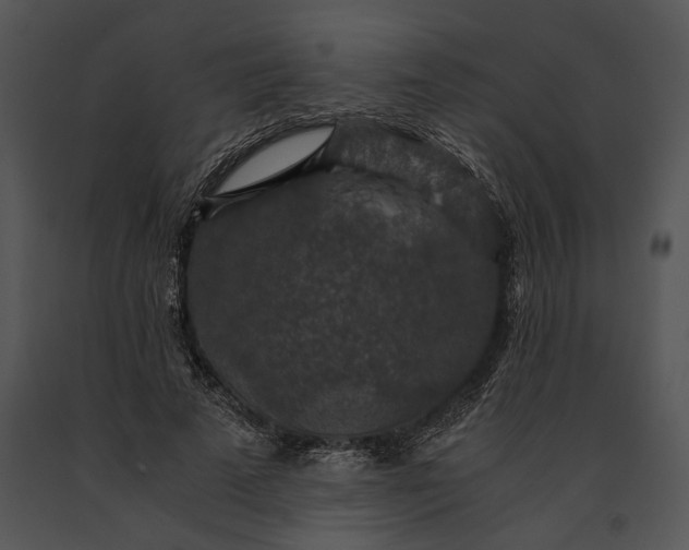 X0000091180689200708301217