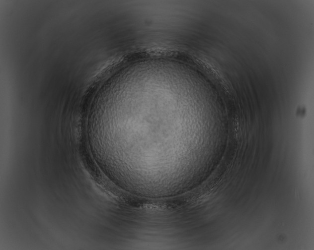 X0000091180690200708301217