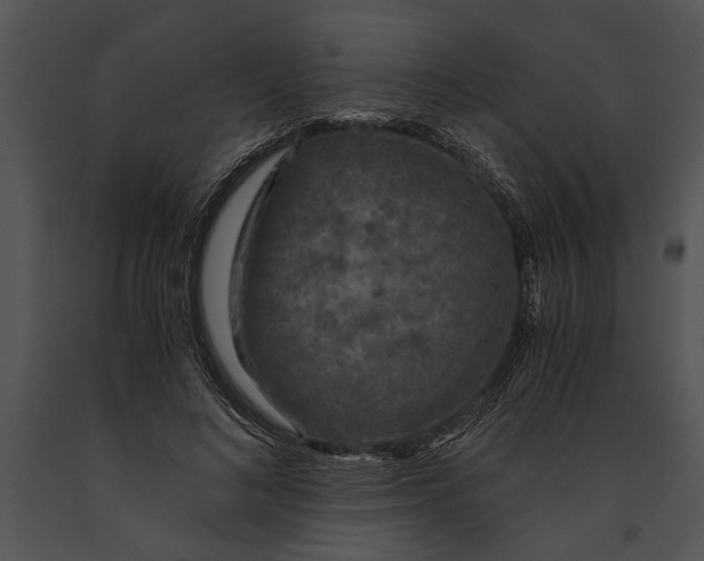 X0000091180692200708301217