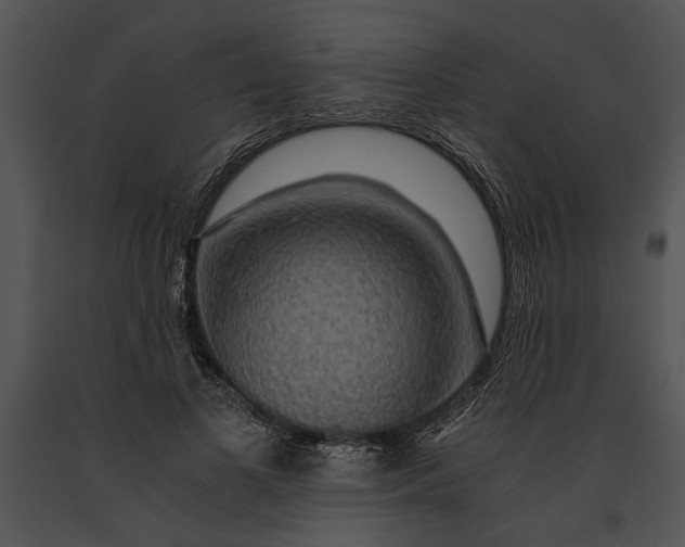 X0000091180693200708301217