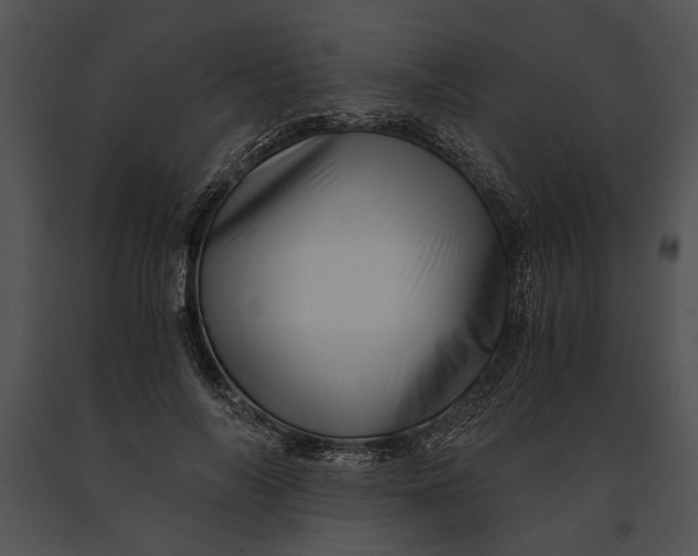 X0000091180694200708301217