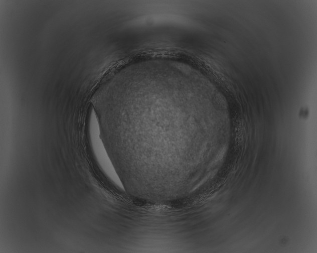 X0000091180695200708301217