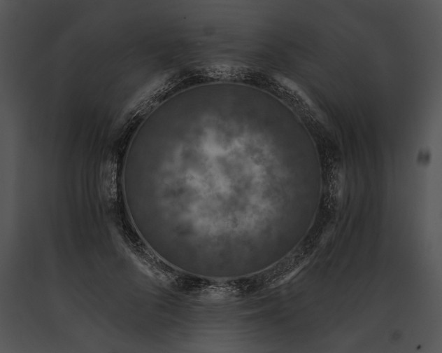 X0000091180696200708301217