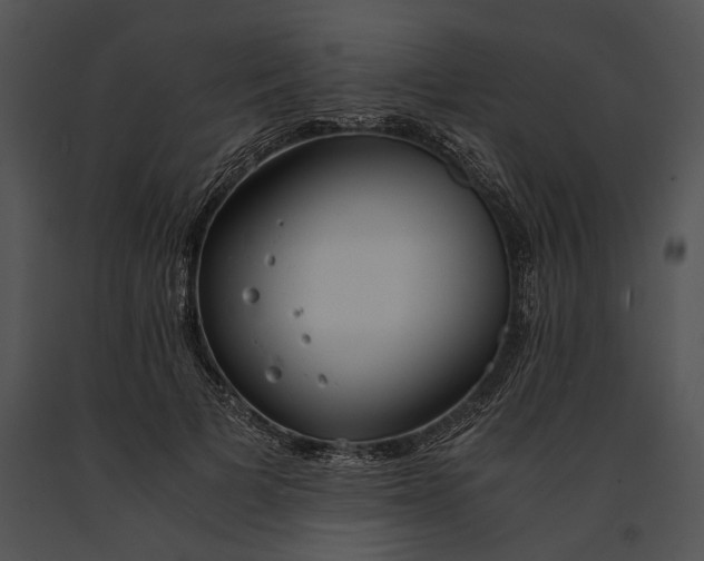 X0000091180697200708301217