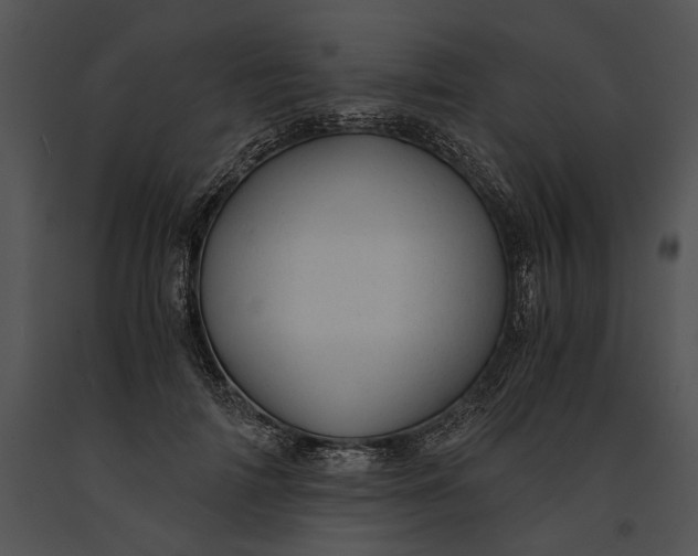 X0000091180698200708301217