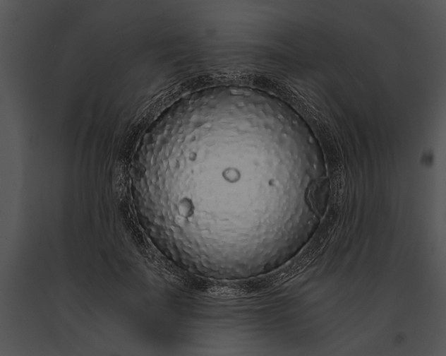 X0000091180699200708301216