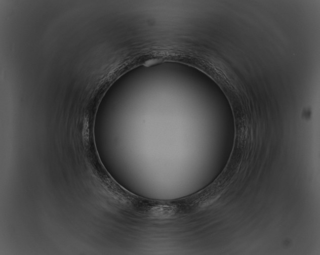 X0000091180700200708301216