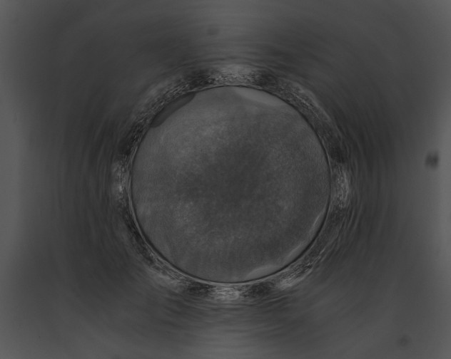 X0000091180701200708301216