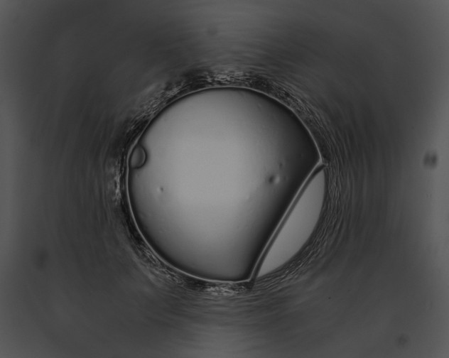 X0000091180703200708301216