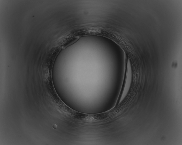 X0000091180704200708301216