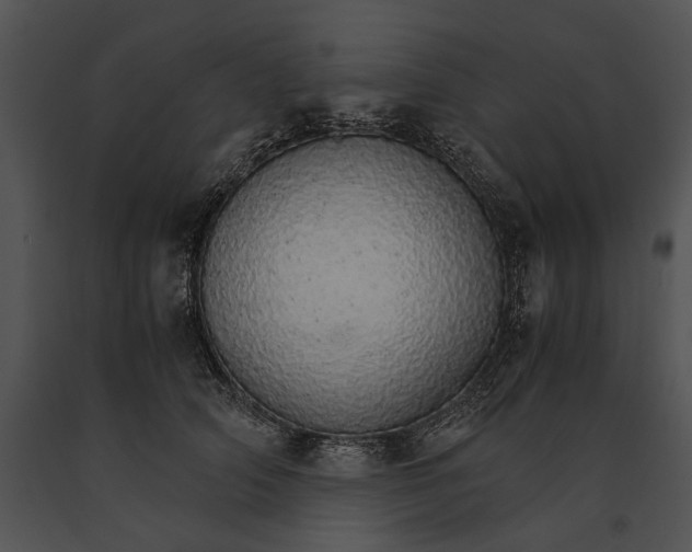 X0000091180706200708301216