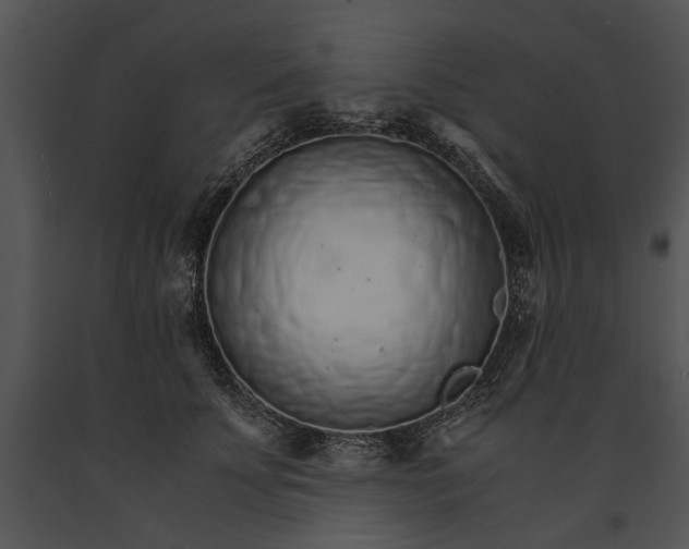 X0000091180707200708301216