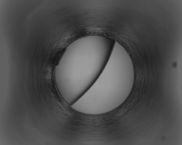 X0000091180708200708301216