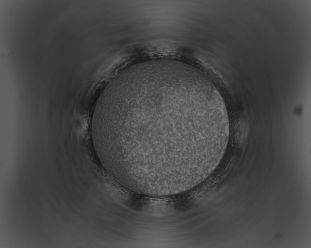 X0000091180709200708301216