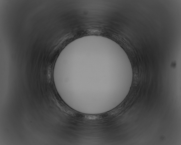 X0000091180710200708301216