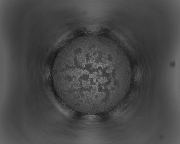 X0000091180711200708301216