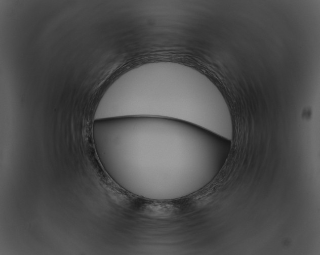 X0000091180712200708301216