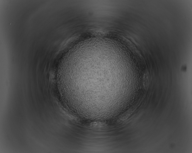 X0000091180714200708301216