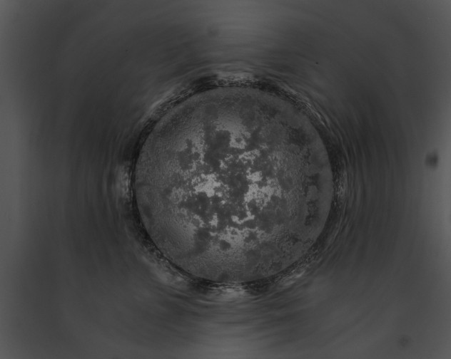 X0000091180715200708301216