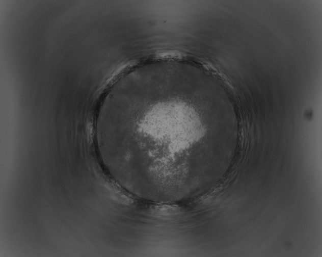 X0000091180716200708301216