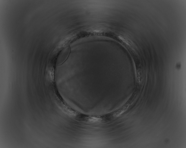 X0000091180718200708301216