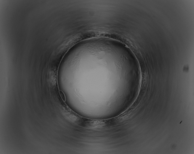 X0000091180719200708301216