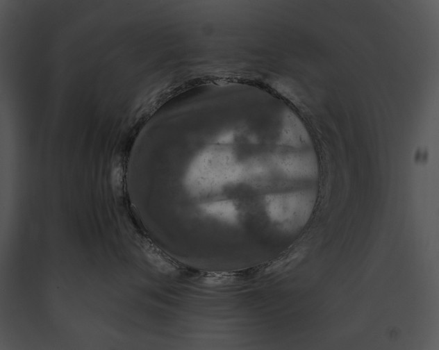 X0000091180720200708301216