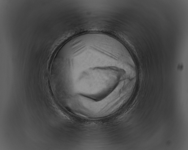 X0000091180721200708301216