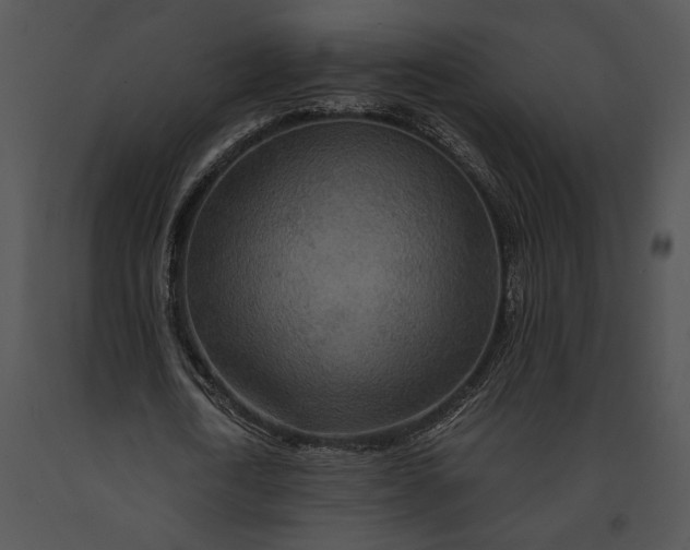 X0000091180722200708301216