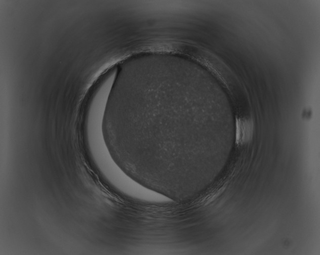 X0000091180723200708301216