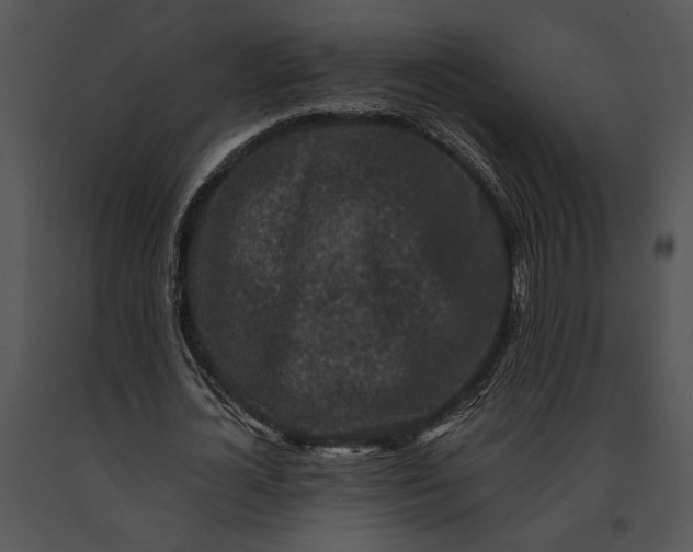 X0000091180724200708301216