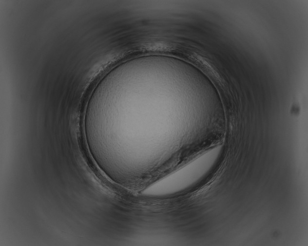 X0000091180725200708301216