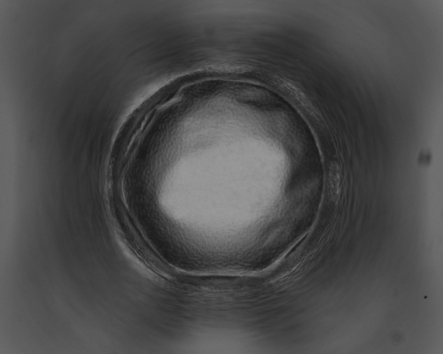 X0000091180726200708301216