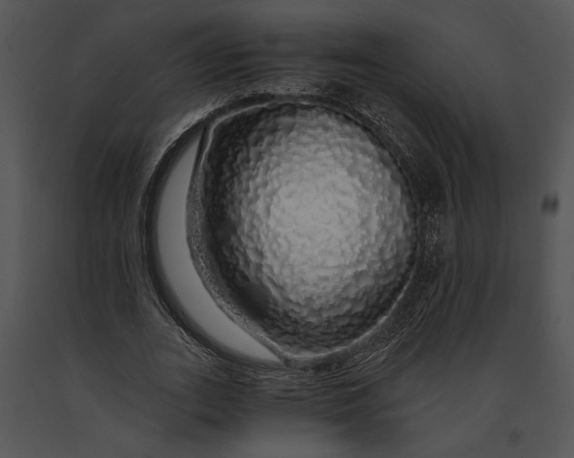 X0000091180727200708301216