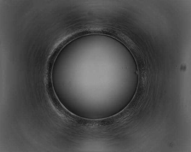 X0000091180728200708301216