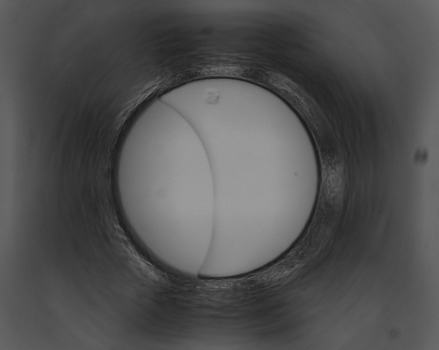 X0000091180729200708301216